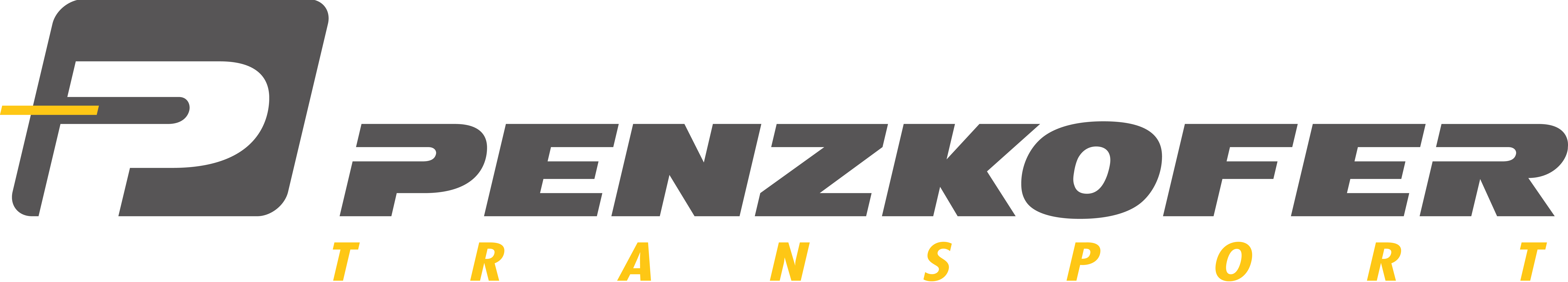 Penzkofer Logo